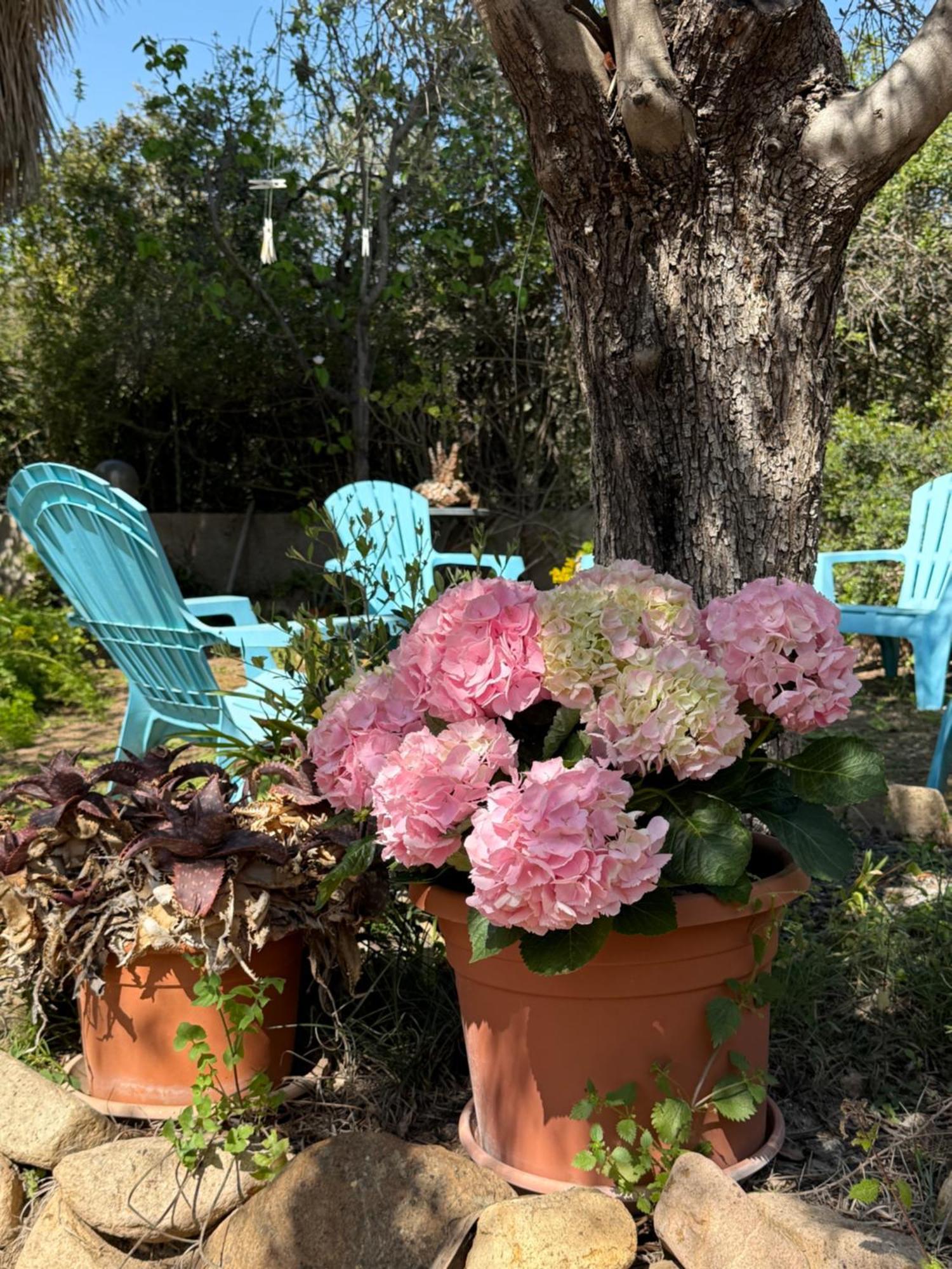 קפיטנה Lovely Home 5 Min Walk To The Beach, 3 Bedrooms Ample Outdoor Relax And Wifi מראה חיצוני תמונה