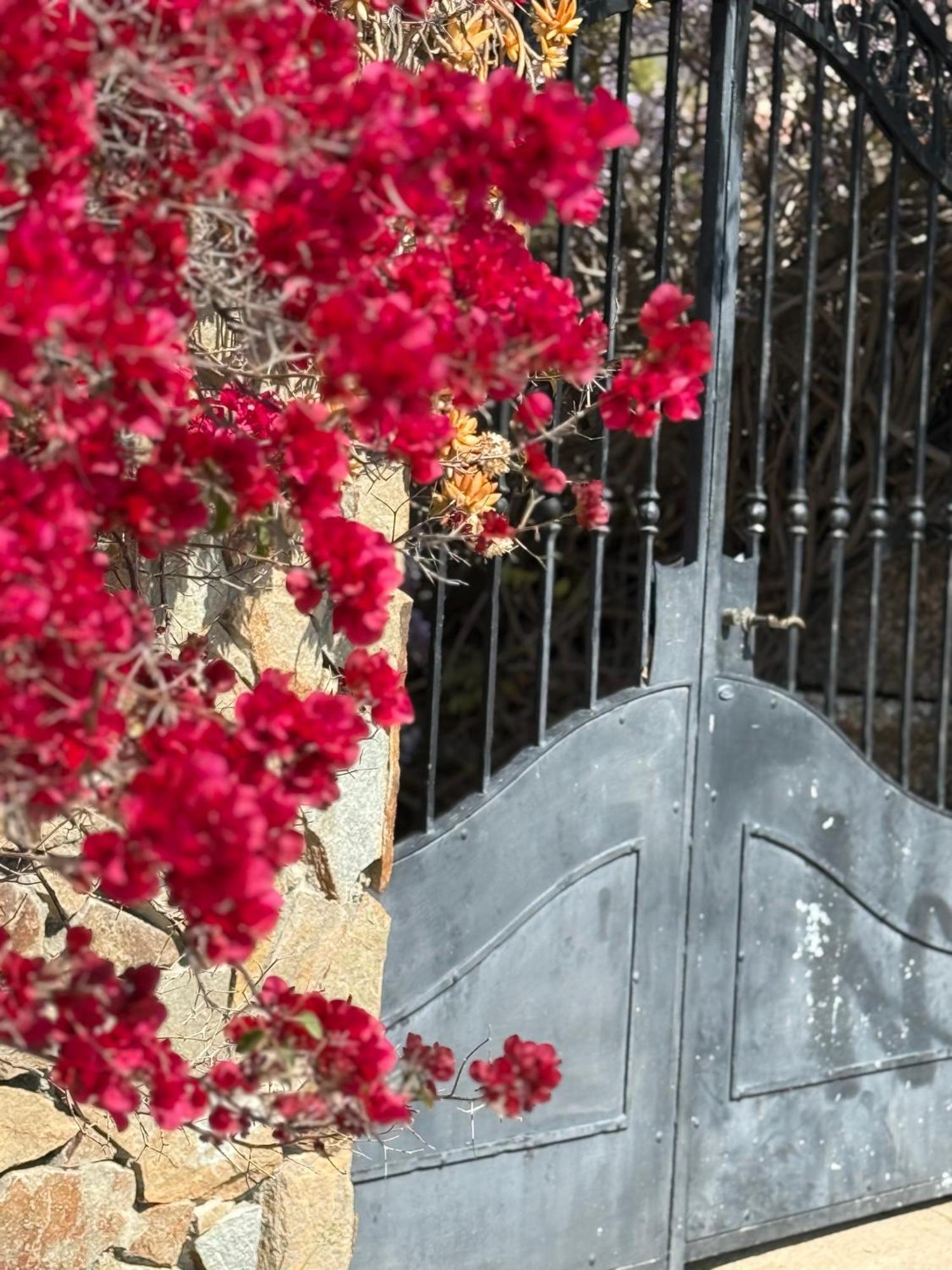 קפיטנה Lovely Home 5 Min Walk To The Beach, 3 Bedrooms Ample Outdoor Relax And Wifi מראה חיצוני תמונה